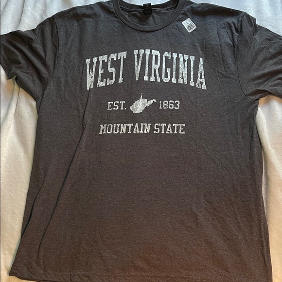 West Virginia Graphic Men's Gray T-Shirt (XL) - Picture 1 of 1